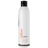 Біосірковий шампунь для жирного волосся Profistyle Sebum Shampoo, 250 мл, фото 