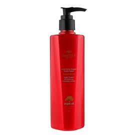 Шампунь з аргановою олією "Миттєве відновлення" Dancoly Argan Oil Shampoo, 300 мл, фото 