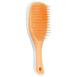 Щітка для волосся Tangle Teezer The Ultimate Detangler Mini Ice and Sweet Orange, фото 