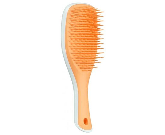 Щітка для волосся Tangle Teezer The Ultimate Detangler Mini Ice and Sweet Orange, фото 